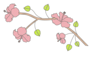 Cohune Caye